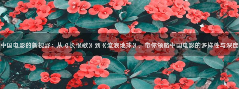 青柠视频在线：中国电影的新视野：从《长恨歌》到《流浪地球》，带你领略中国电影的多样性与深度