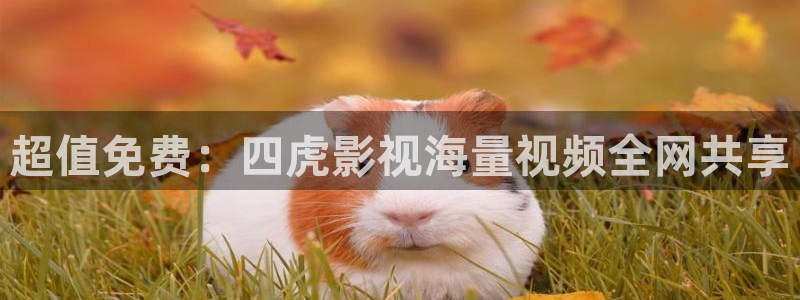 yy8090青柠影院：超值免费：四虎影视海量视频全网共享