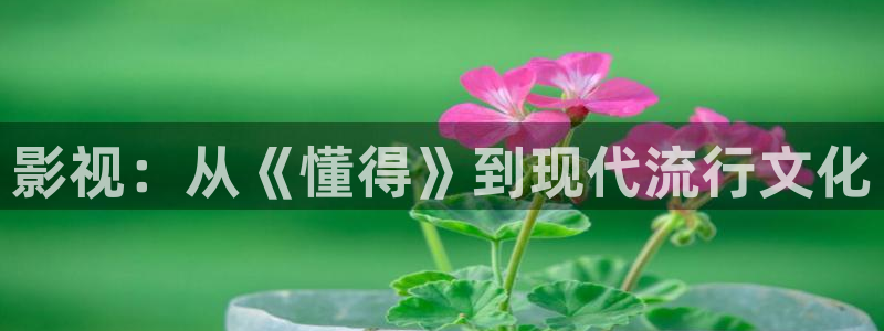 青柠影院西瓜观看高清：影视：从《懂得》到现代流行文化